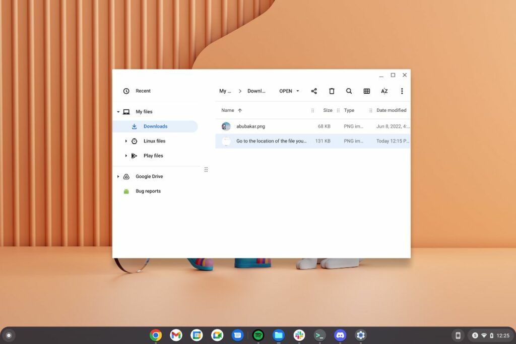 Aplikasi file Chromebook