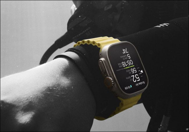 Apple Watch Ultra Oceanic+ 구독 앱