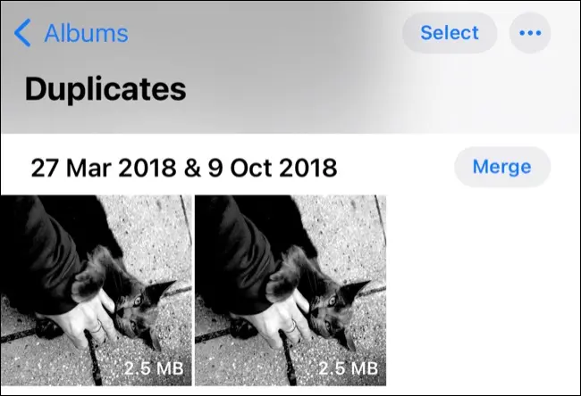 iOS 16 の写真アプリで重複した写真を結合する