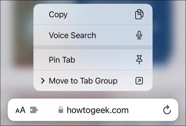 iOS 16 の Safari でタブをピン留めする