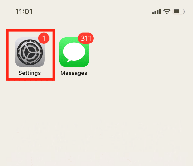 Buka Pengaturan di iPhone Anda. Cara Menemukan Hal Tersembunyi di iPhone