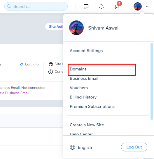 Klik pada opsi Domains, di bawah menu tarik-turun gambar profil untuk mengakses daftar Domain yang telah Anda beli dari Wix. | Bagaimana Anda Menghapus Akun Wix