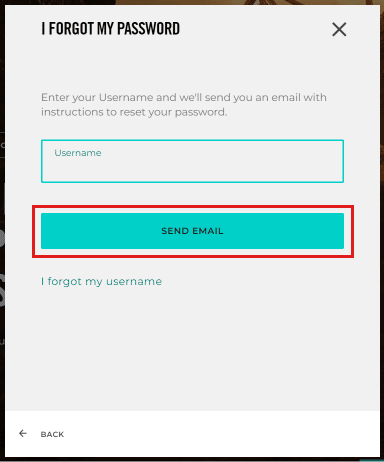 Digite seu nome de usuário e clique em ENVIAR EMAIL