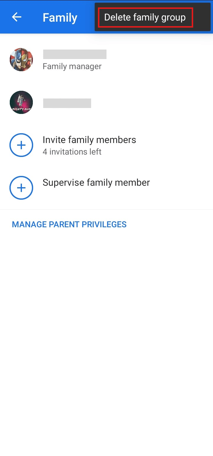 Appuyez sur Supprimer le groupe familial.