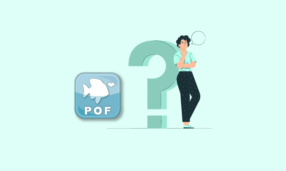 Cómo usar Plenty Of Fish Search sin registrarse