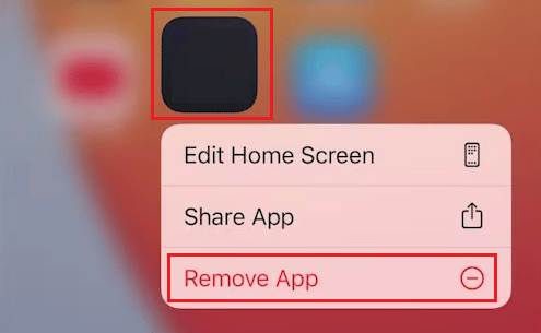 Toque em Remover aplicativo Excluir iPhone iOS