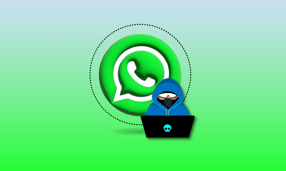WhatsApp 黑客的 17 款最佳應用