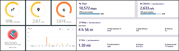 Grafici del fitness tracker
