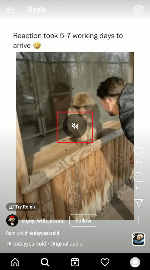 希望のリールの中央をタップします。画面中央のミュート アイコンは、現在のリールがミュートされていることを表します。 | | Instagramリールを一時停止する方法