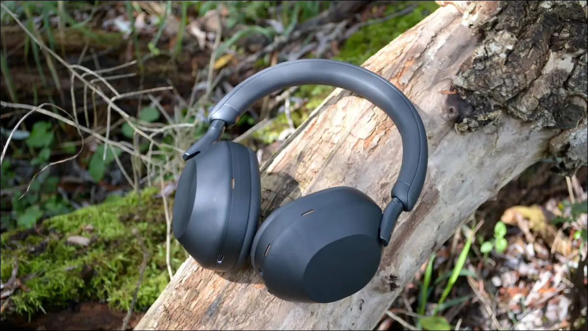 Sony WH-1000XM5 auf Baum