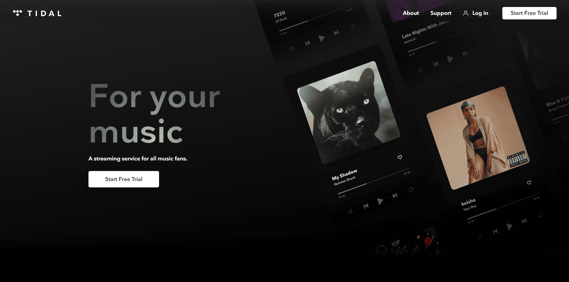 EPIX Now Tidal-Website
