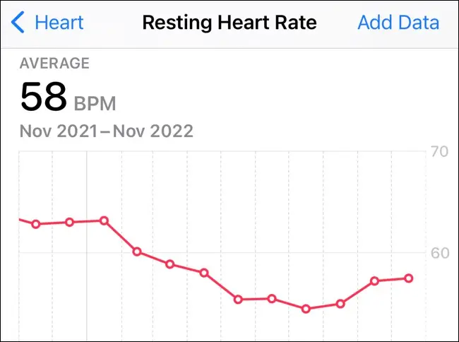 Apple Health 中一年的靜息心率信息