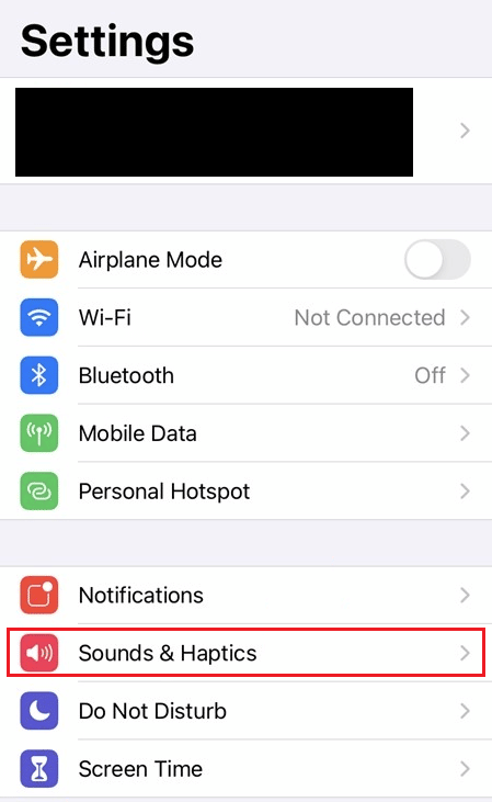 Ketuk opsi Suara & Haptik | ubah suara jam alarm di iPhone saya