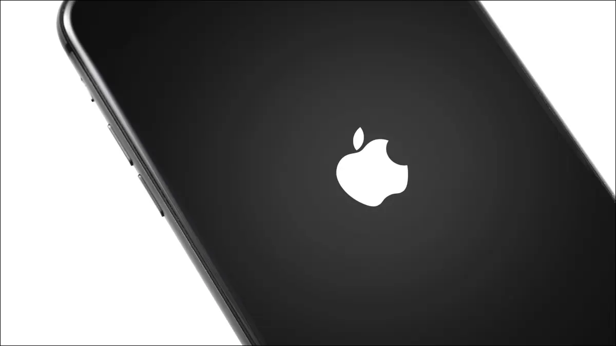 iPhone เปิดเครื่องโดยมองเห็นโลโก้ Apple