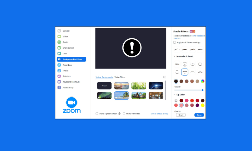 Risolto il problema con i filtri di zoom non visualizzati sul PC
