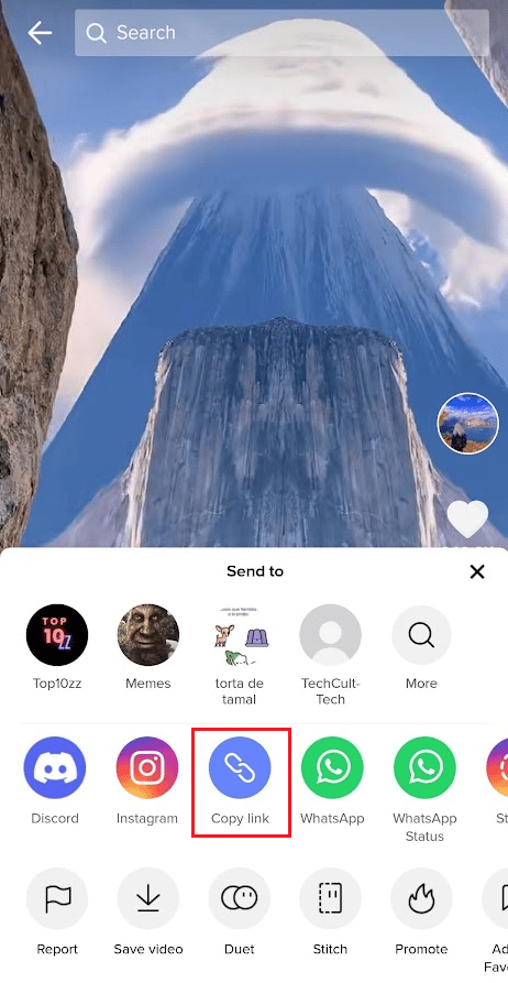 Tippen Sie auf Link kopieren, um den Link dieses Videos zu kopieren, mit dem Sie ein Duett erstellen möchten | Fügen Sie ohne Geschäftskonto einen Link zu Ihrer TikTok-Bio hinzu