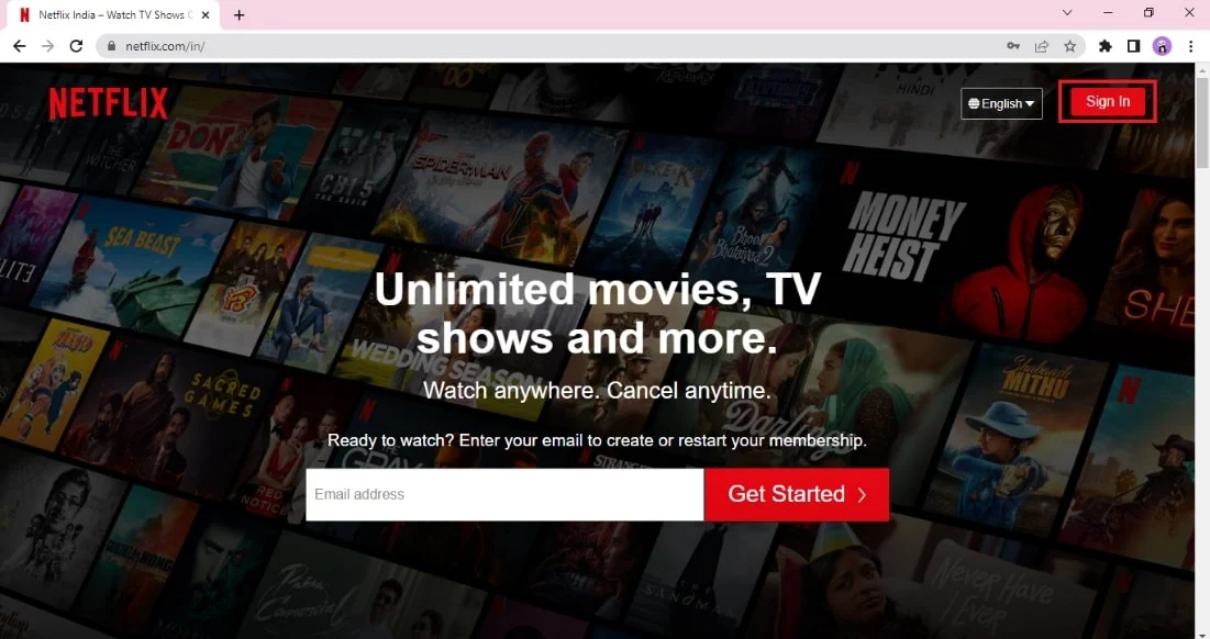 Clique em Entrar. Corrigir Netflix perdoe a interrupção