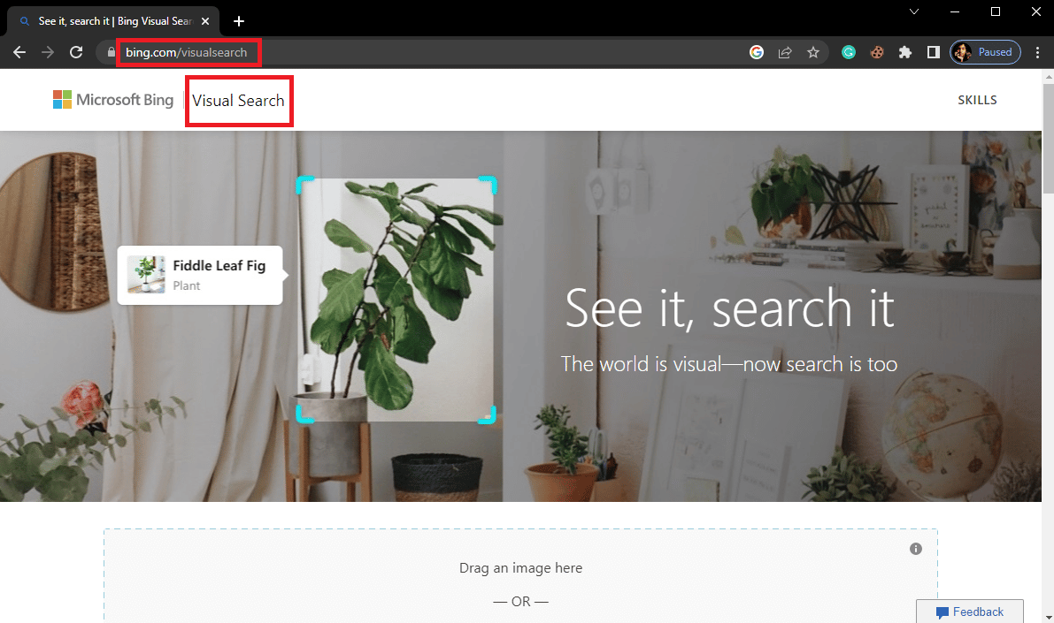 Web Tarayıcınızı açın ve Bing Görsel Arama'yı ziyaret edin