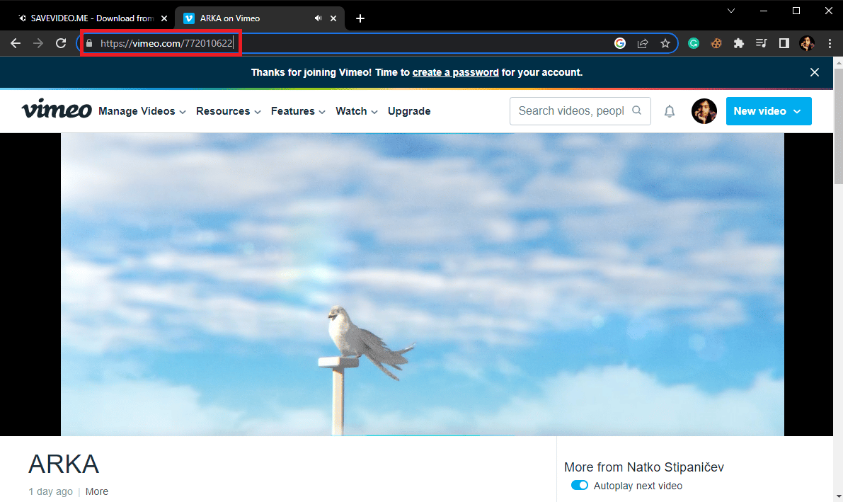 打開要轉換的 Vimeo 視頻並從地址欄複製鏈接