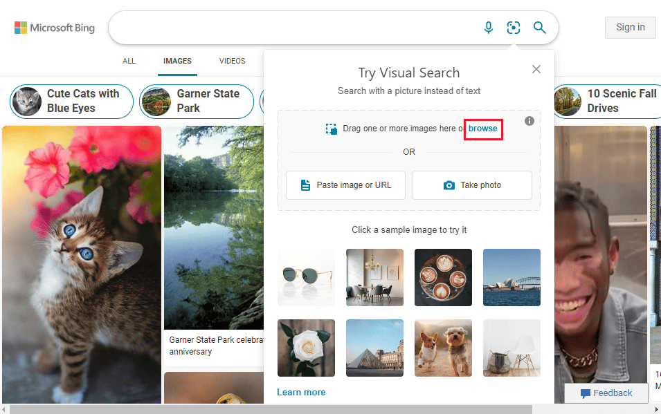 Fare clic sull'opzione Sfoglia. Come trovare qualcuno su Facebook usando un'immagine