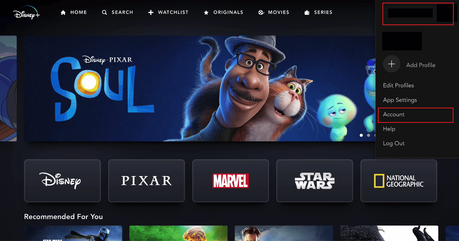 haga clic en el icono de perfil - Cuenta | Cómo actualizar la cuenta de Disney Plus
