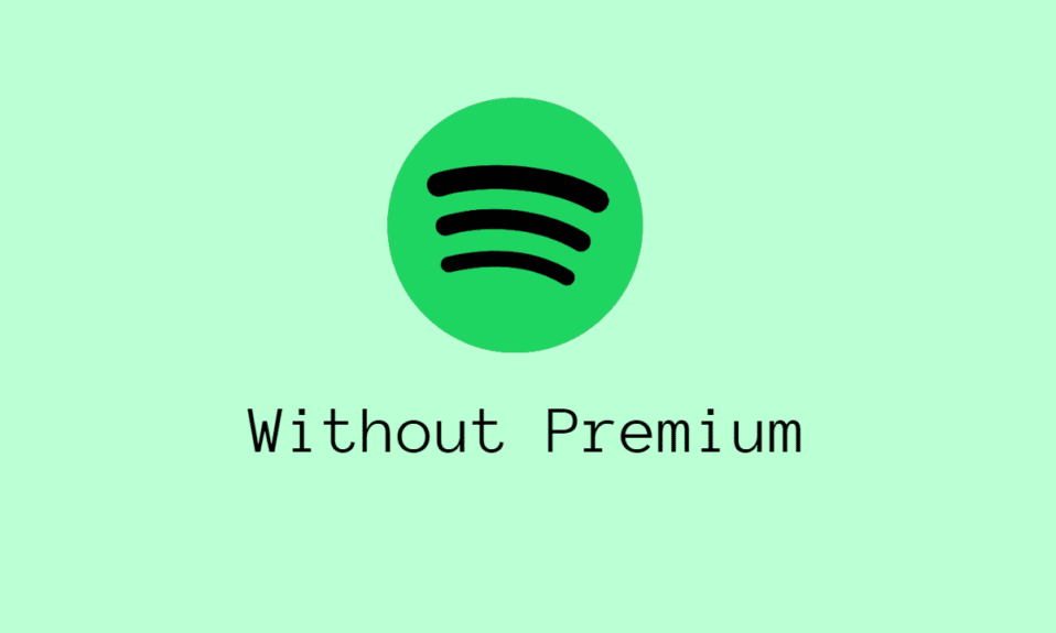 So laden Sie Spotify-Songs ohne Premium herunter
