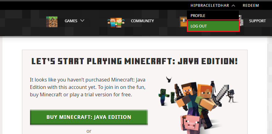 在您的 Minecraft 帐户中单击注销。 Minecraft 的 12 个修复现有连接被远程主机错误强行关闭
