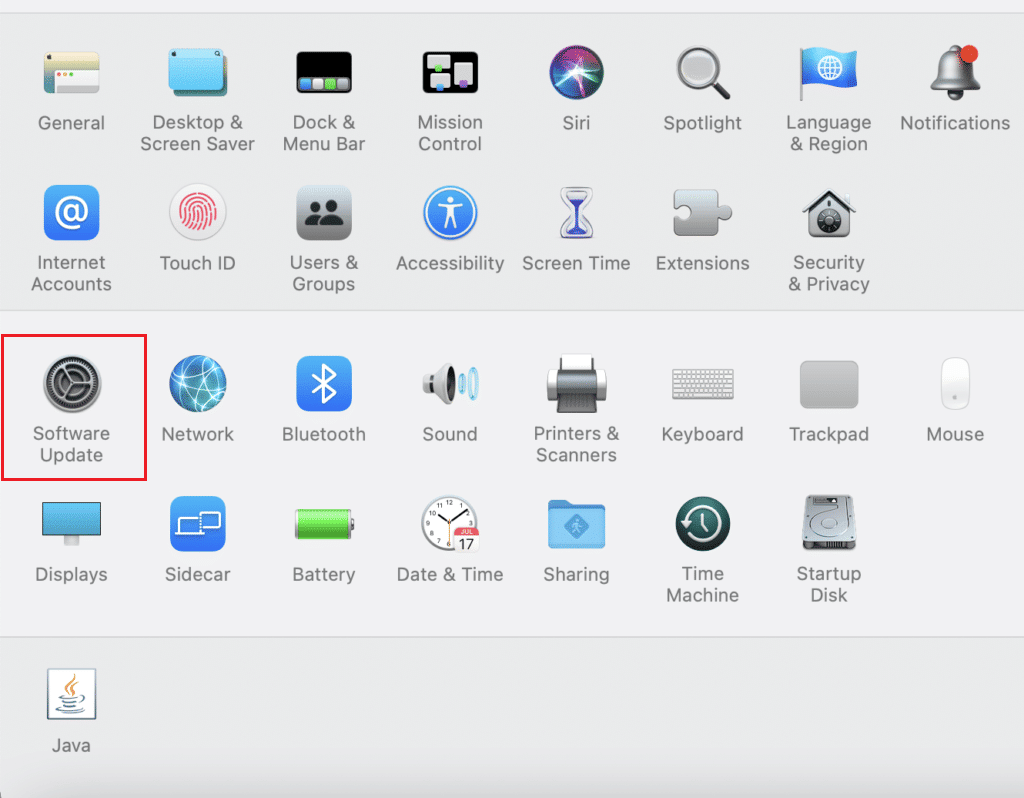 faceți clic pe Actualizare software în preferințele de sistem pe Mac