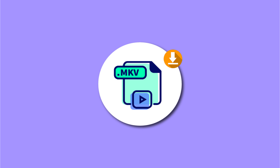Los 24 mejores reproductores MKV para descargar para Windows 10
