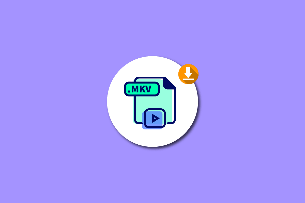 Los 24 mejores reproductores MKV para descargar para Windows 10