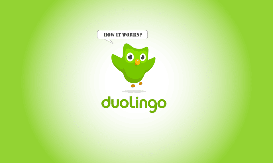 Что такое Duolingo и как работает Duolingo? Советы и приемы