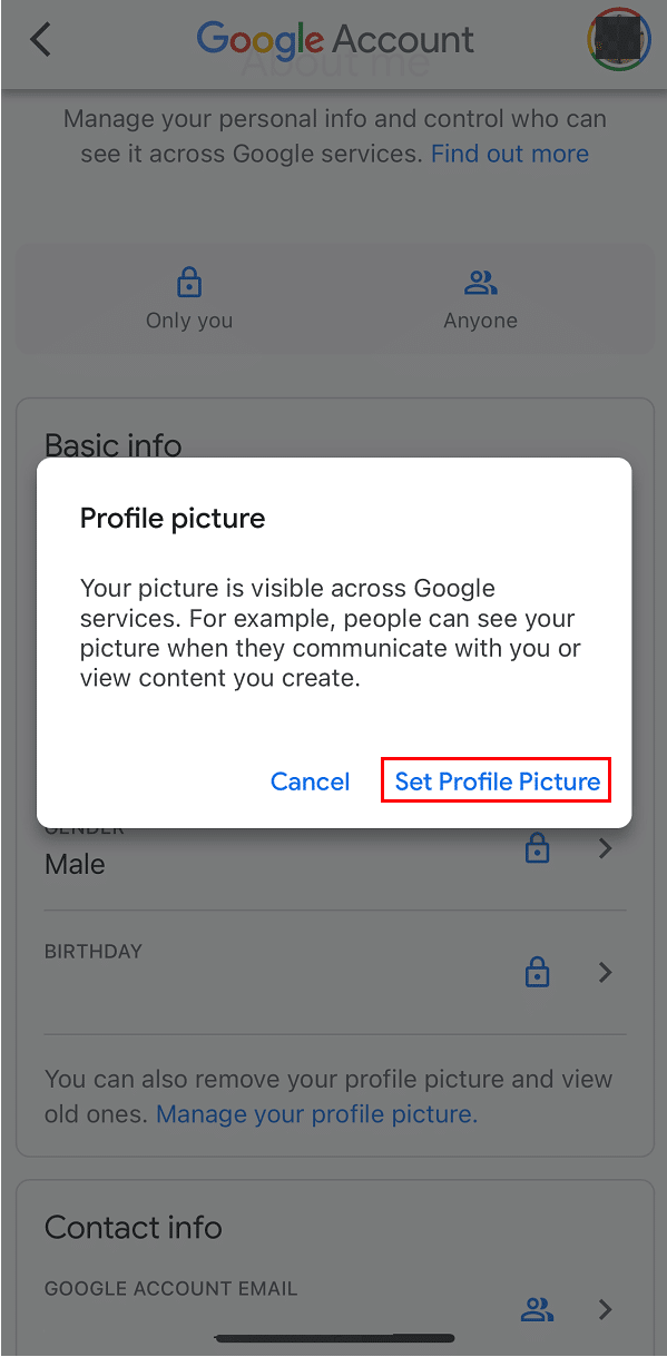 如何删除 Google 或 Gmail 个人资料图片 |如何更改混音器头像