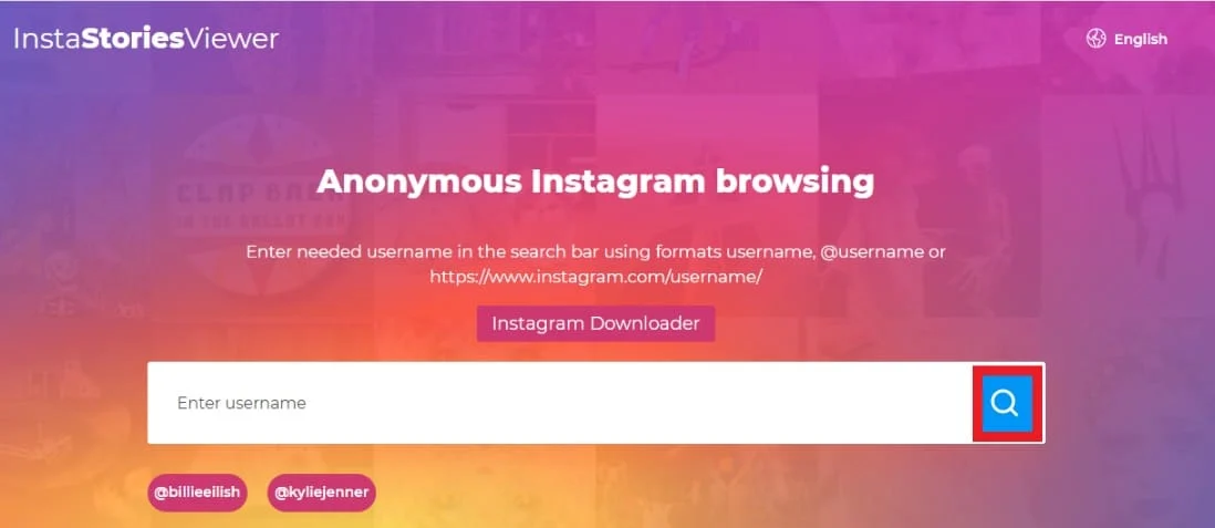 Ketik nama pengguna orang di bilah pencarian di insta story Viewer | Lihat kiriman dan cerita Instagram tanpa akun