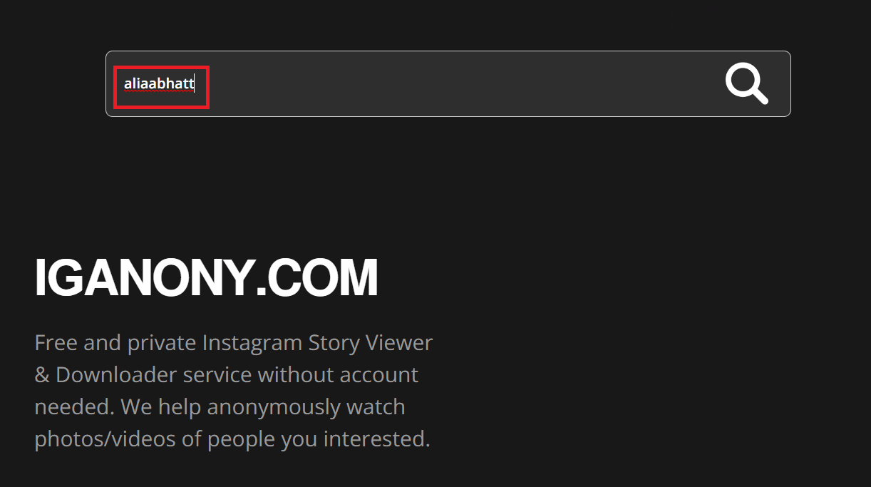 Masukkan nama pengguna di kotak pencarian di Iganony | lihat posting dan cerita Instagram tanpa akun