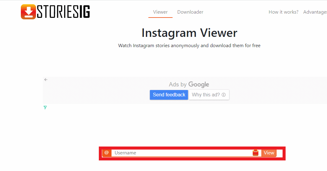 Masukkan nama pengguna profil di bilah pencarian StoriesIG