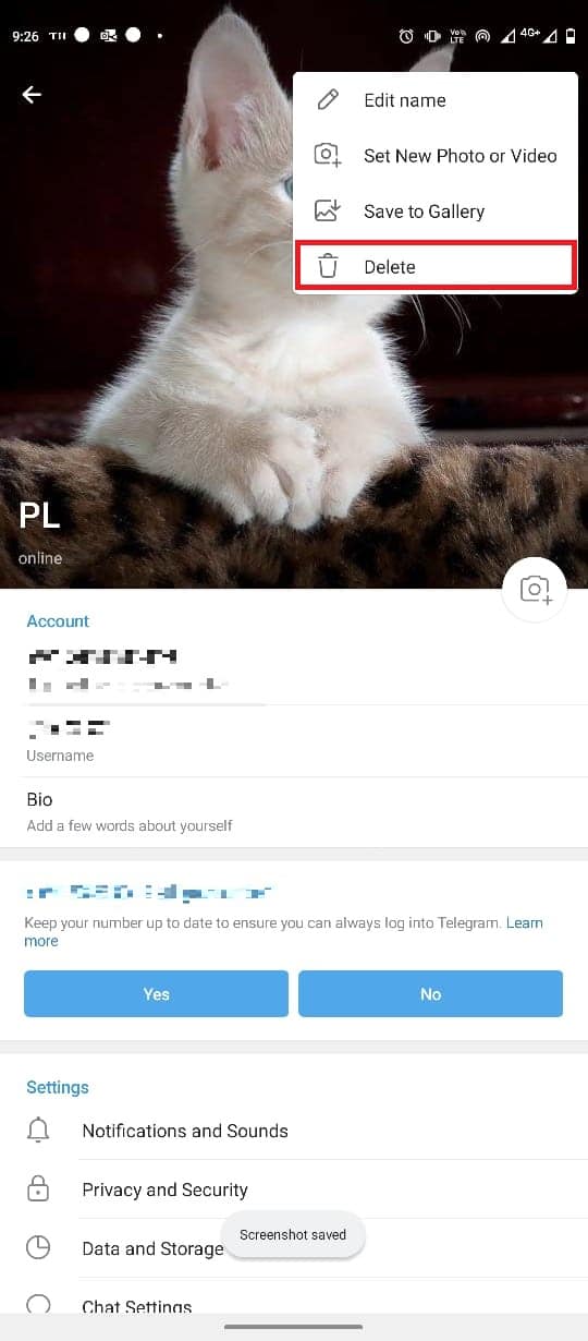 appuyez sur Supprimer pour supprimer la photo de profil. Comment ajouter, modifier et supprimer une photo de profil Telegram