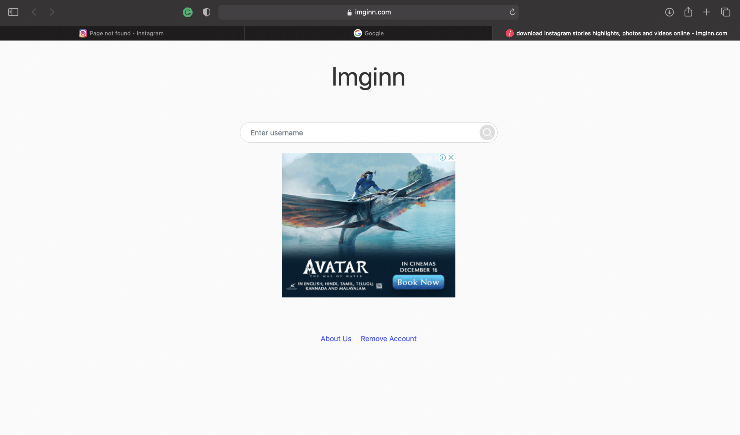 Imginn 网站 |
