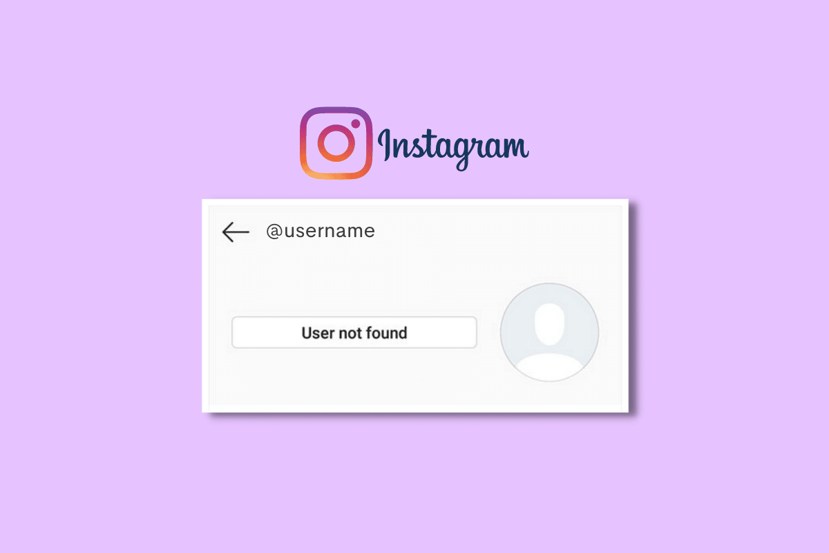 Cum să remediați utilizatorul negăsit pe Instagram