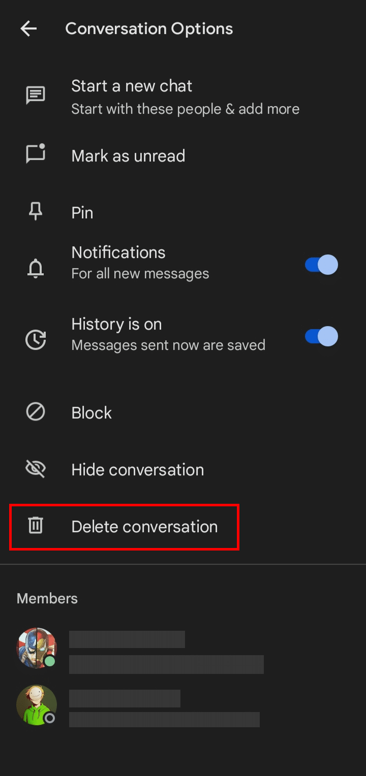 Tocca l'opzione Elimina conversazione.