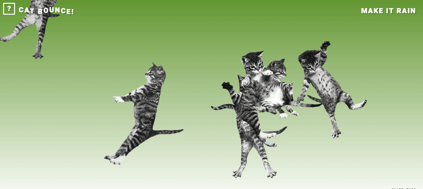 rebond de chat