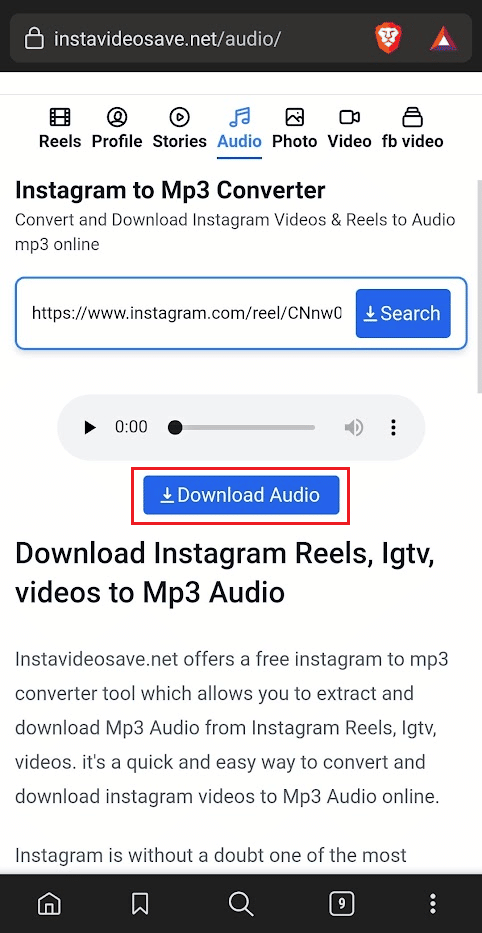 tocca l'opzione Scarica audio per salvare l'audio IG nella memoria del telefono
