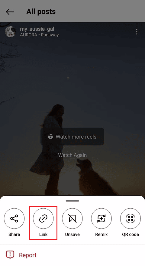 tocca l'opzione Link per copiare il link del reel o del post