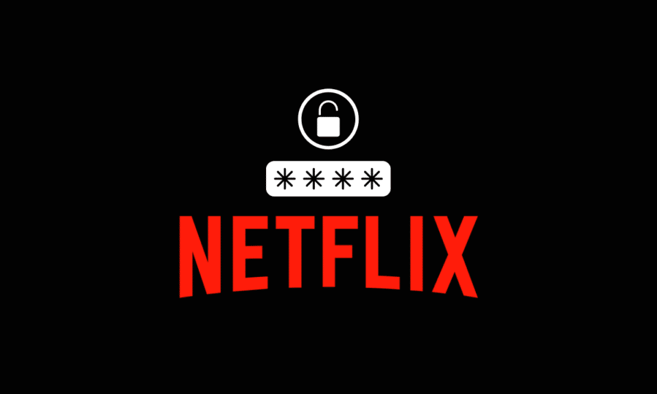 我的 Netflix 密碼是什麼?