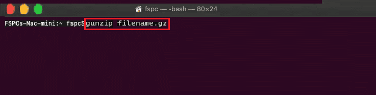 gunzip filename.gz Mac-Terminalbefehl