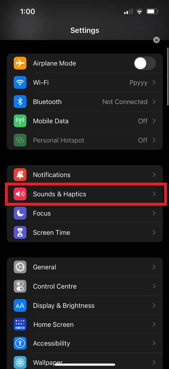 انتقل إلى خيار Sounds and Haptics / Sounds. | حجم مكالمات iPhone منخفض جدًا بعد التحديث