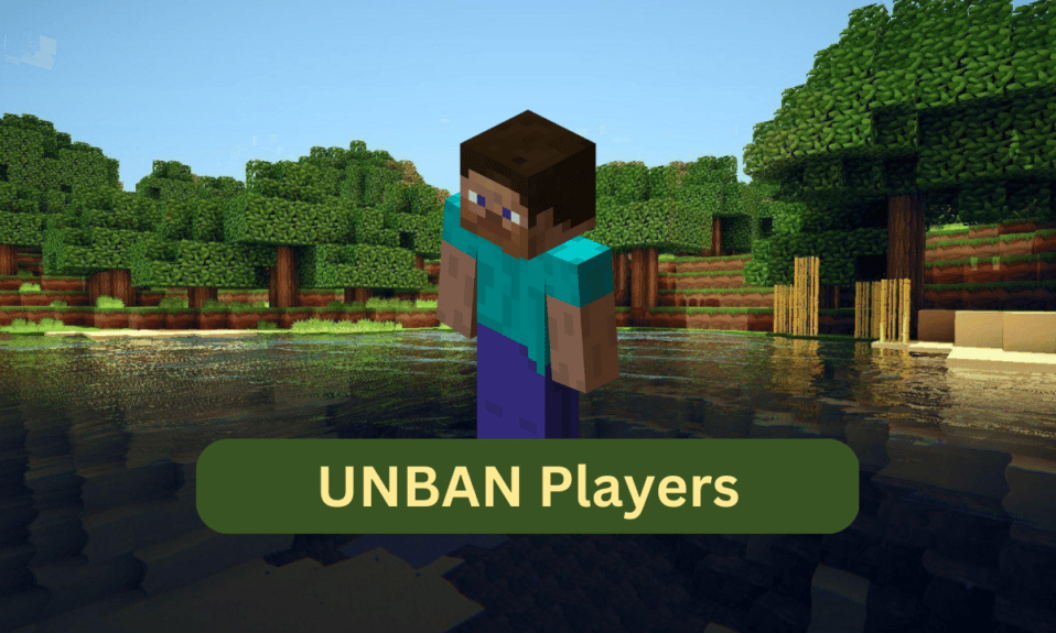 Как разбанить игроков в Minecraft