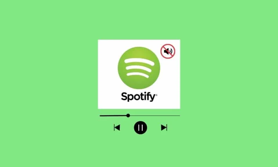 Correggi nessun suono su Spotify su Android