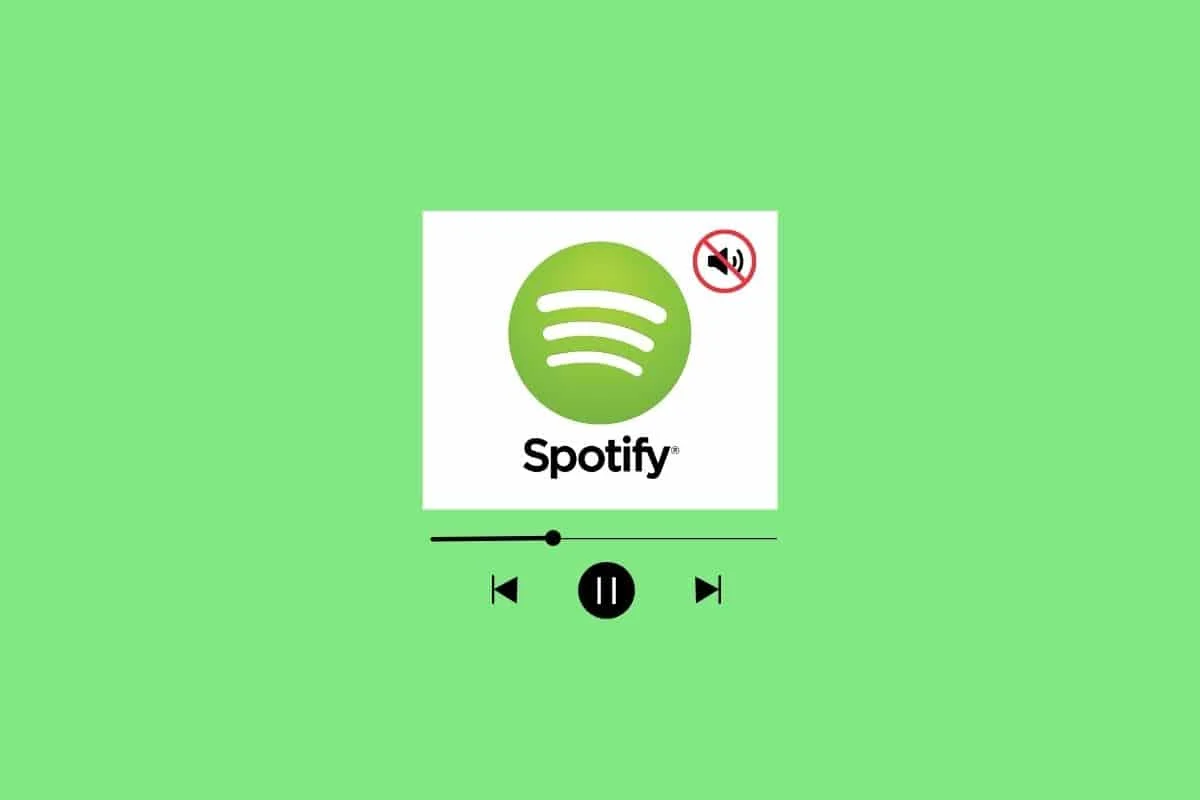 Correggi nessun suono su Spotify su Android