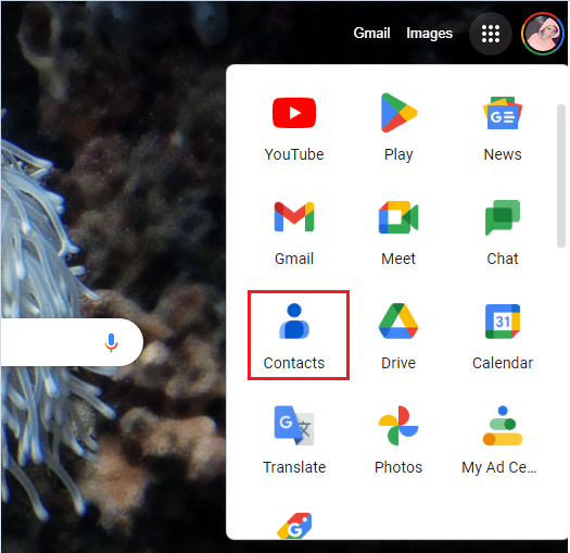 Klicken Sie auf die Option Google Kontakte