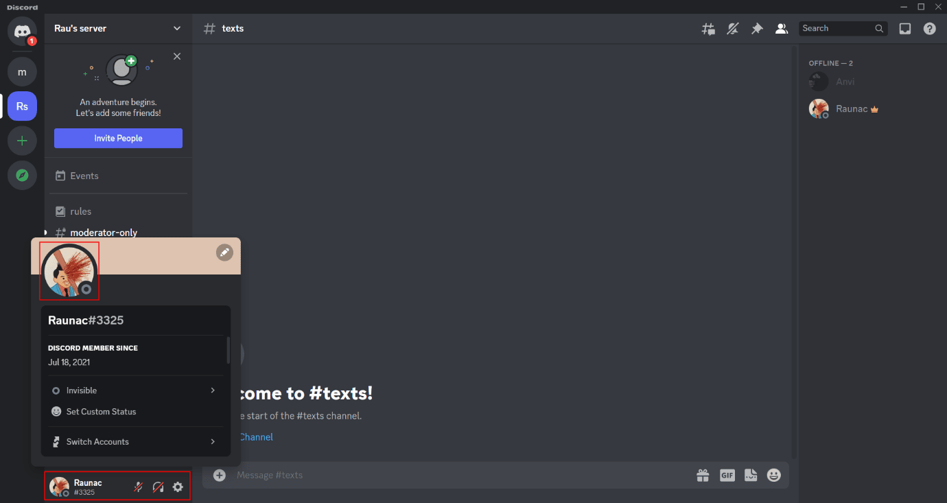 Avatar destacado com ícone de status invisível em um servidor Discord